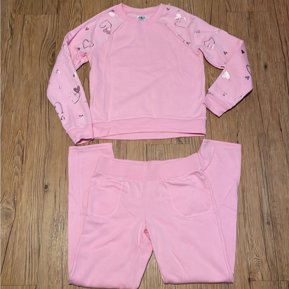 Pink girls sweatshirt and pants Sz large